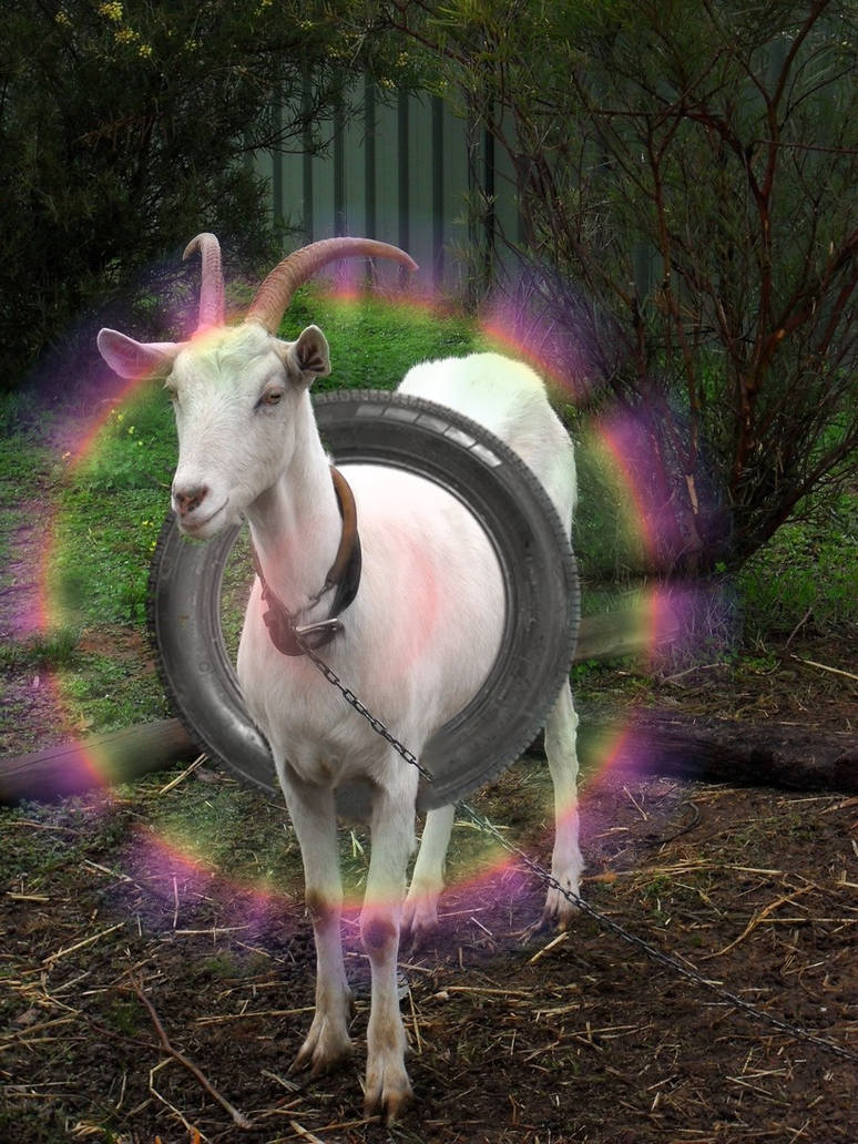 Optilux Deviantart Rauschenberg inspired goat by OPTILUX on DeviantArt