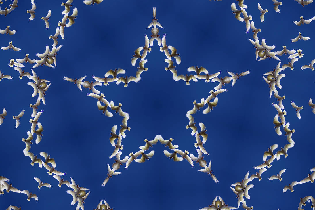 Optilux Deviantart Flying star-A by OPTILUX on DeviantArt