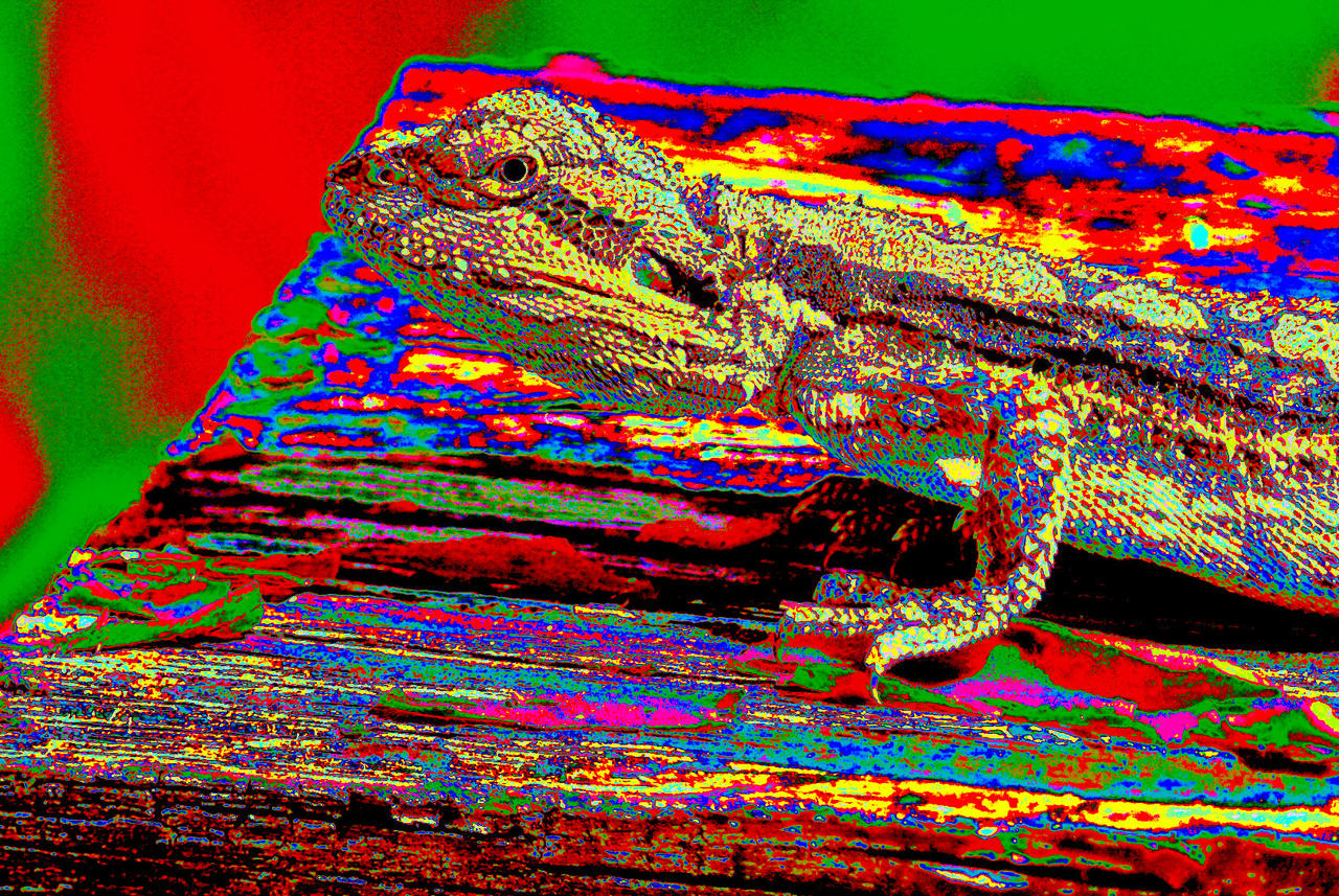 Optilux Deviantart Lizard-X psychedelic by OPTILUX on DeviantArt