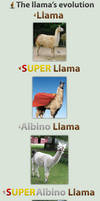 REAL Llama's evolution
