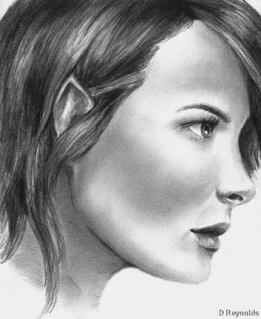 Elf Profile by darcival on DeviantArt