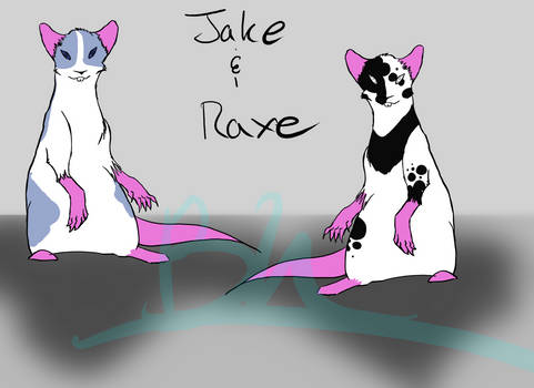 Jake and Raxe