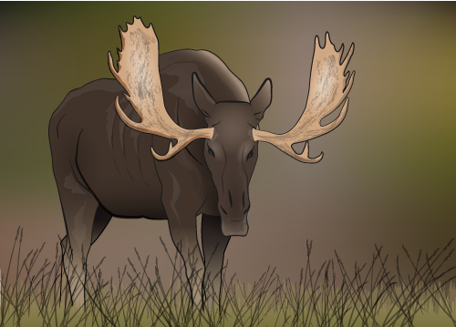 3 Point Moose Moose-ThreeQuarterView Color by SwanGuy on DeviantArt