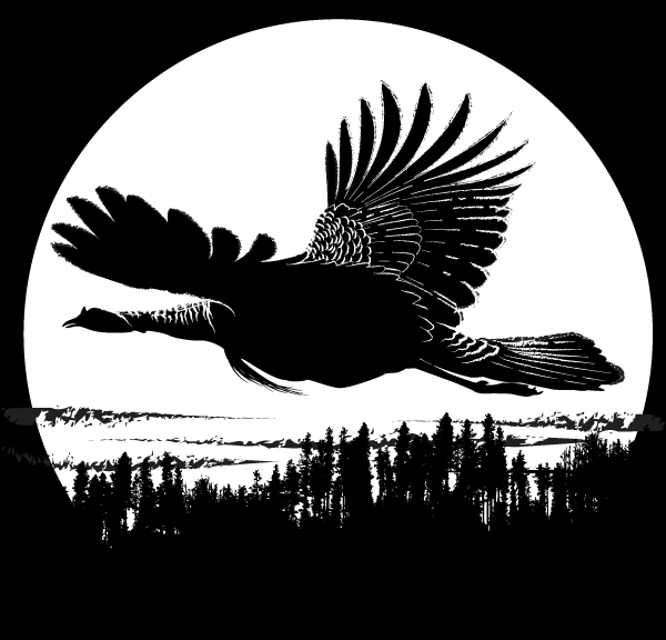 Flying Rturkey Wild Turkey Morning Flight by SwanGuy on DeviantArt
