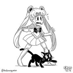 Sailor Moon, attack!