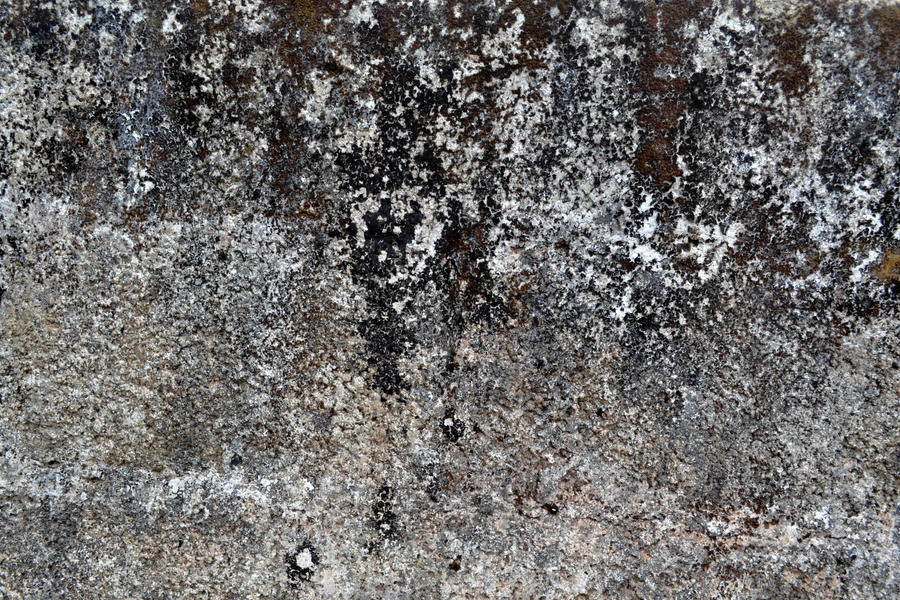 Concrete Texture Stock