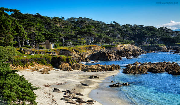 Monterey Bay