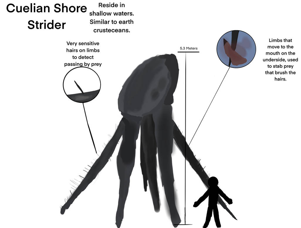 Sea Strider biology by bigscottyboyreal2 on DeviantArt