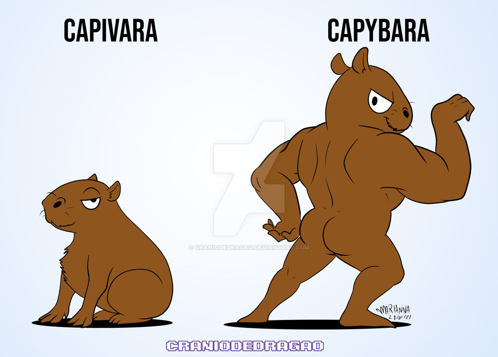 Capivaras Fun by Daieny on DeviantArt
