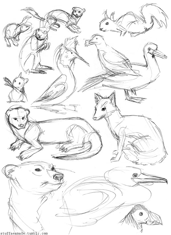 Animal Sketches