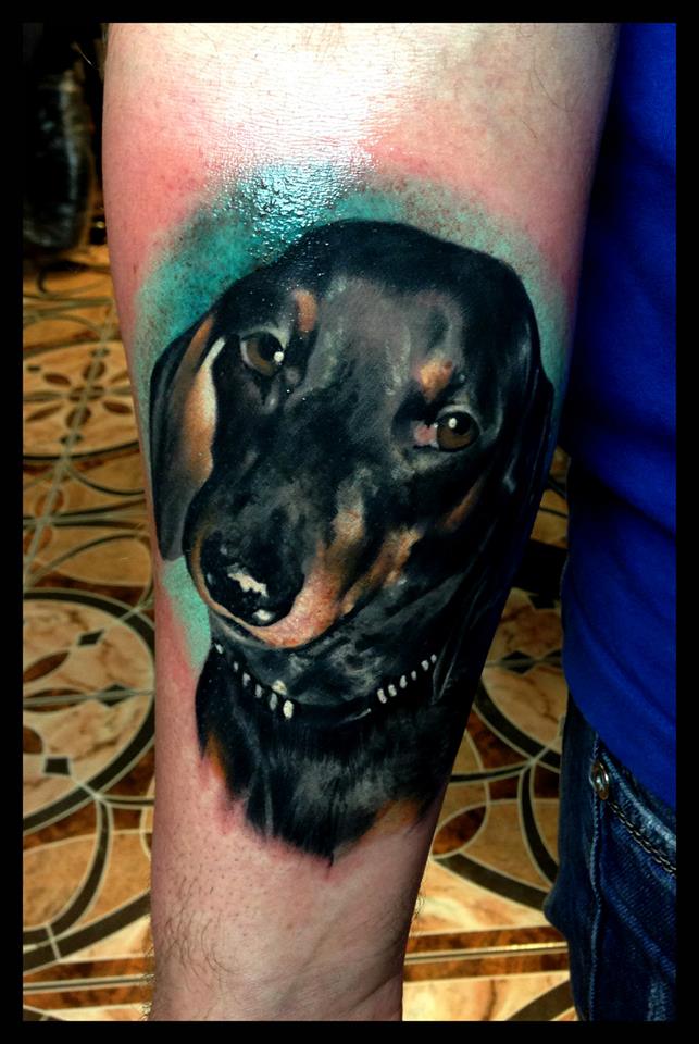 dog dachshund puppy doggy tattoo colour color by sofsmade on DeviantArt dog dachshund puppy doggy tattoo colour color by sofsmade on DeviantArt