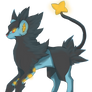 day 4- Luxray