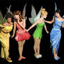 Disney Fairies take one