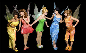 Disney Fairies take one