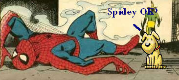 Spidey Ok?