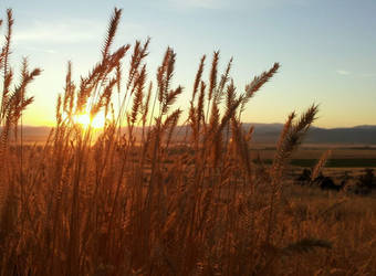 Warm Fall Evening