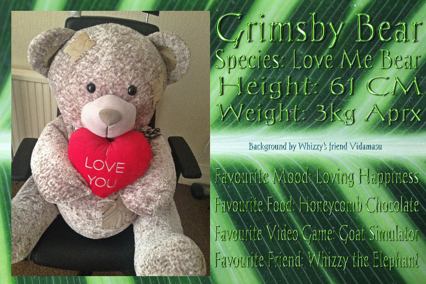 Whizzy and the Grimsby Bear Mini Comic (Ref Sheet)