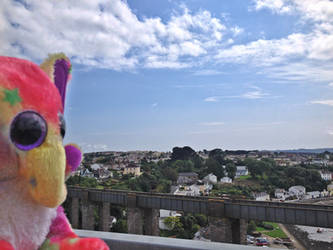 Whizzy on the Tamar Bridge (2)