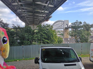 Whizzy underneath the Tamar Bridge (1)