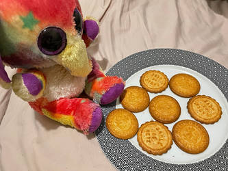 Whizzy the Elephant and a tray of French Biscuits