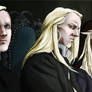 DH: Malfoy family