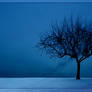 Blue Winter