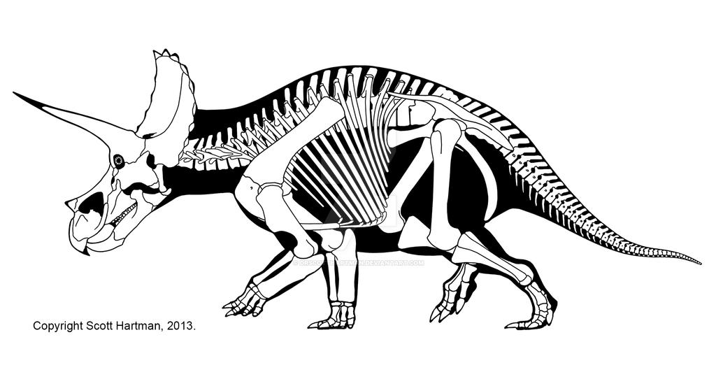 Triceratops