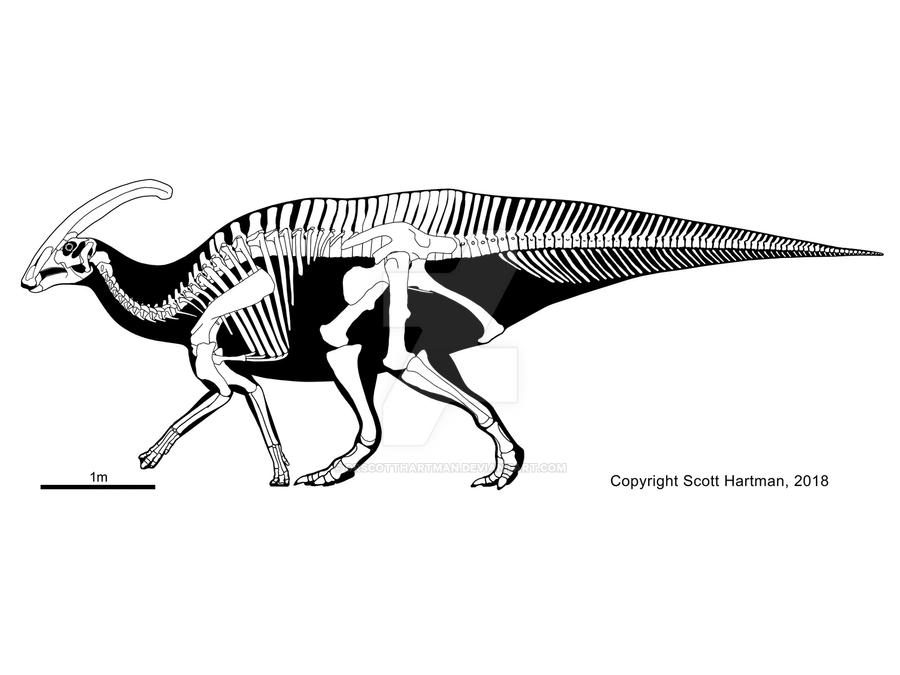 Long-crested Parasaurolophus