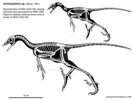 The Thermopolis Specimen