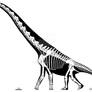 African Brachiosaur