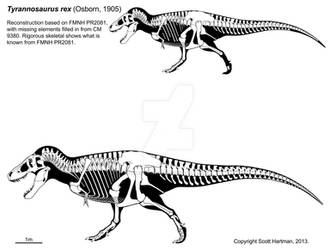 A T. rex named Sue 3.0