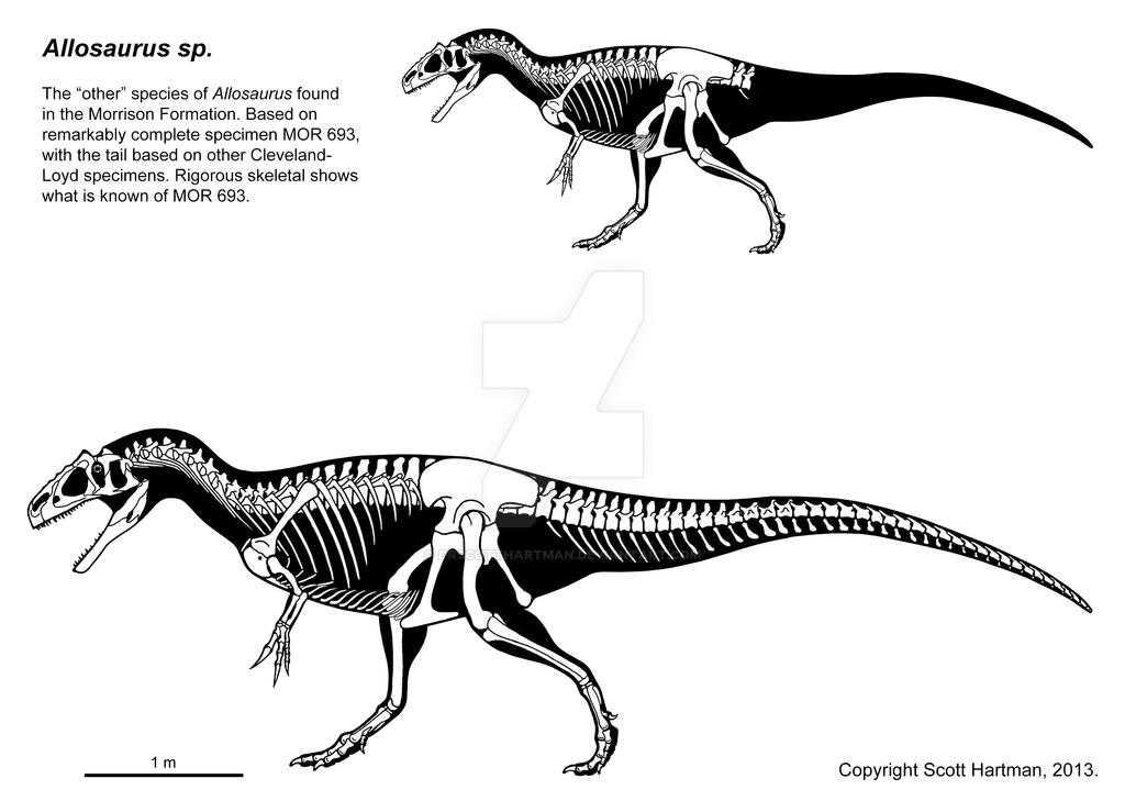 Big Al by DrScottHartman on DeviantArt