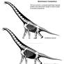Brachiosaur Comparison