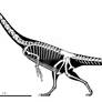 Basal therizinosaur