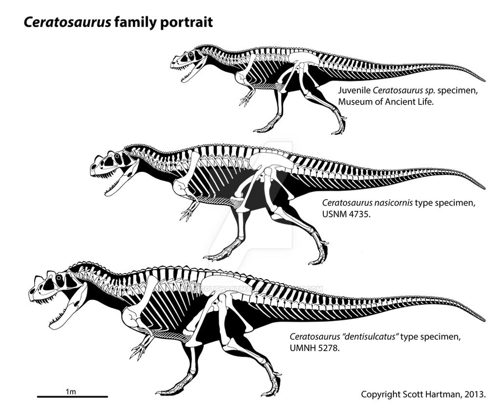 Ceratosaurus growth series