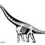 Remember the (subadult) Alamosaurus