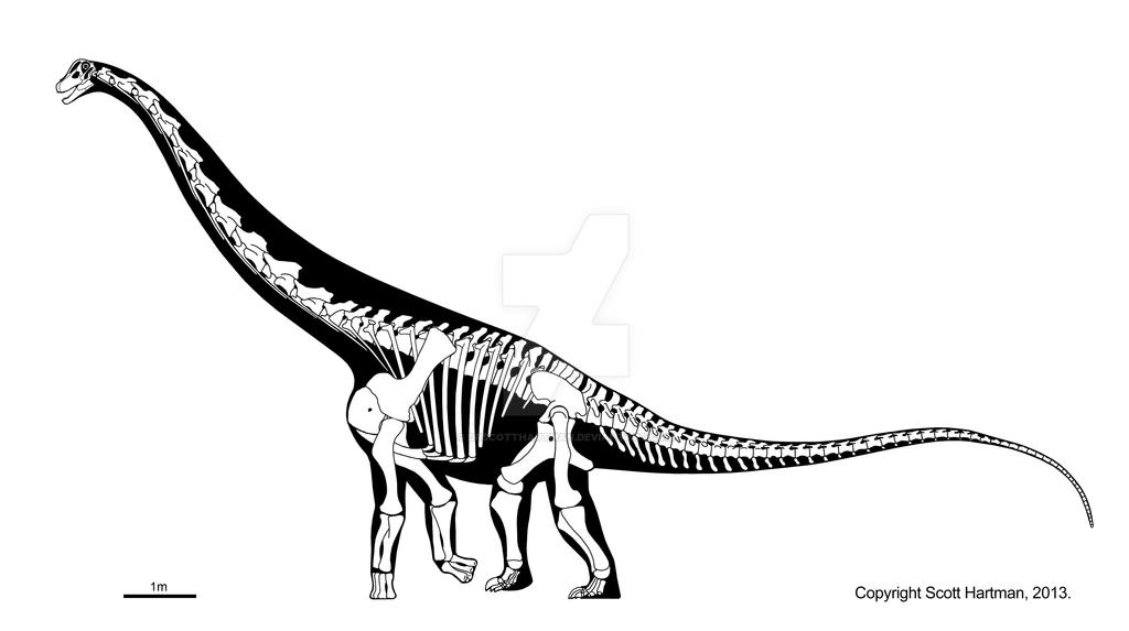 Remember the (subadult) Alamosaurus