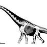 Titanosaur from Malawi