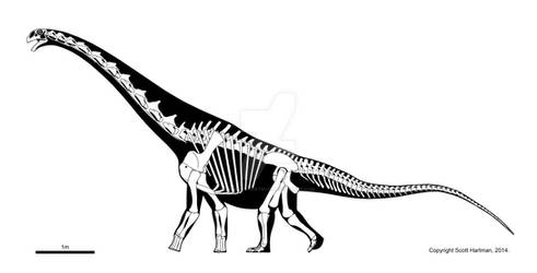 Titanosaur from Malawi