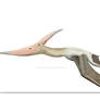 Pteranodon takes flight