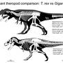 North vs South: Giant theropod square-off