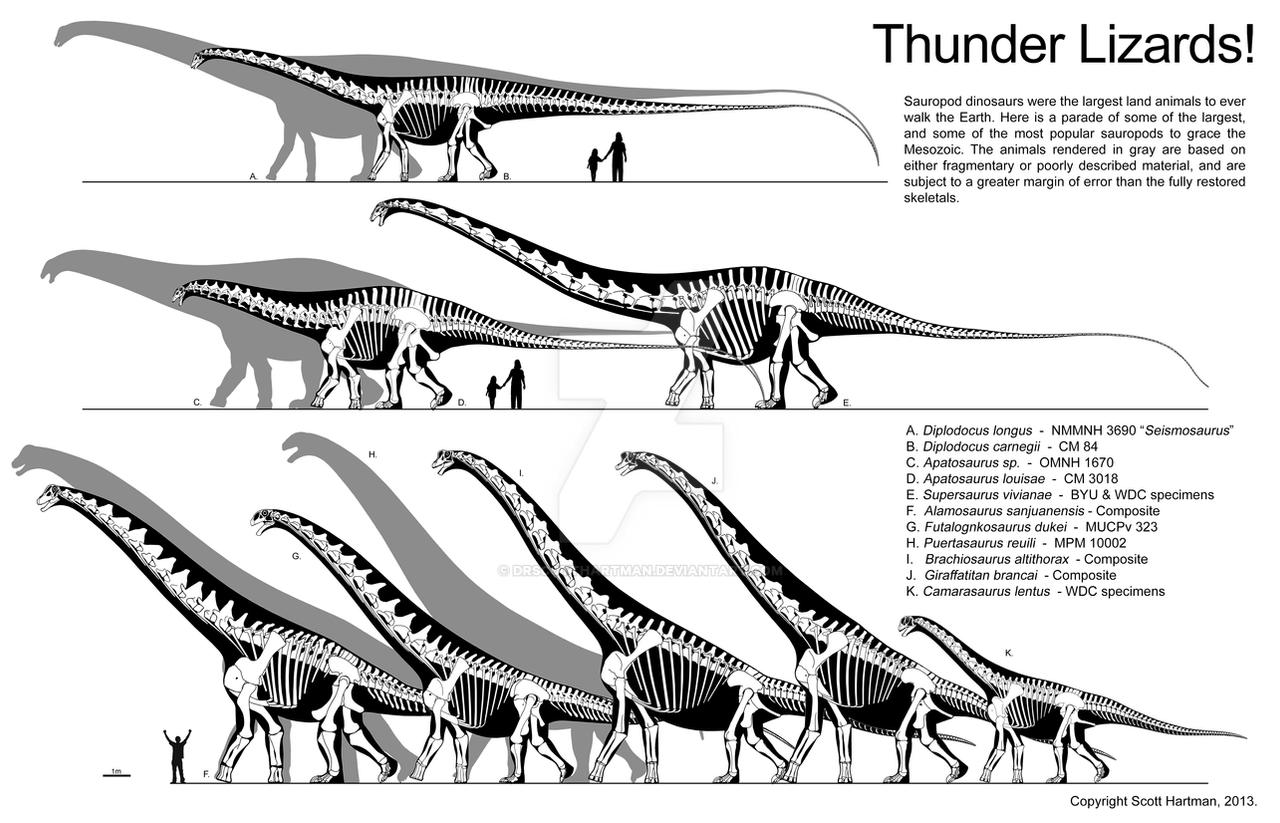 Thunder Lizard size comparison
