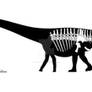 Diplodocus (NOT Seismosaurus) longus