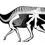 Hypacrosaurus stebingeri