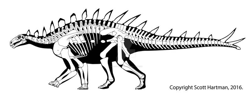 Huayangosaurus - a primitive little stegosaur