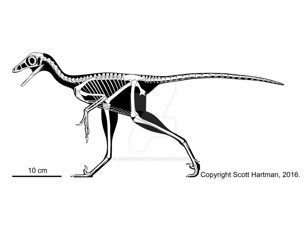 Jinfengopteryx elegans - the golden phoenix