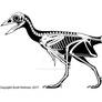 Confuciusornis