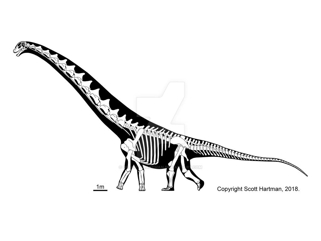 Dreadnoughtus - huge, but not the 'hugest'