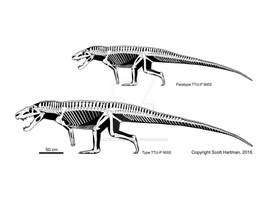 Postosuchus big and small