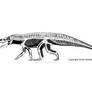 Batrachotomus - the 'typical' Triassic loricatan